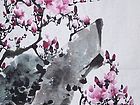玉兰21.JPG
