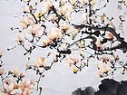 玉兰28.JPG