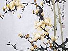 玉兰31.JPG