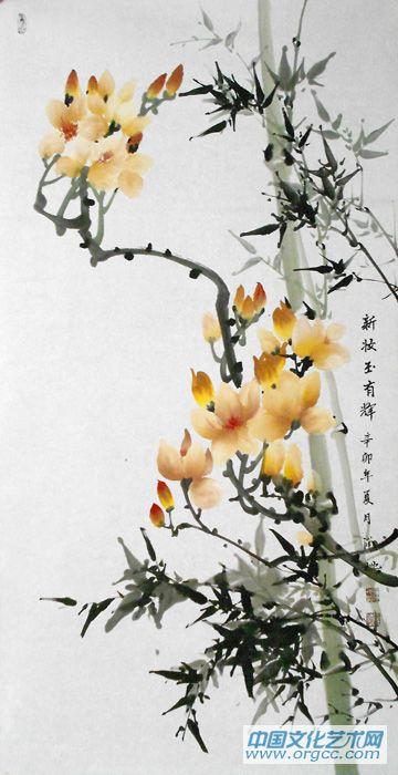 玉兰05