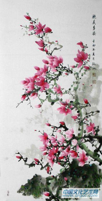 玉兰06
