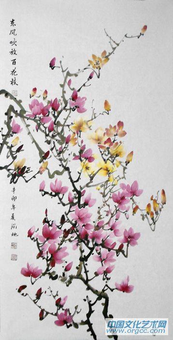 玉兰09