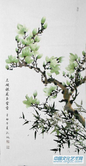 玉兰08