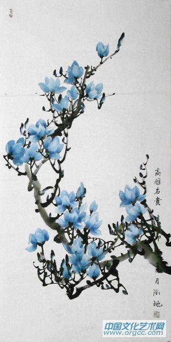 玉兰12