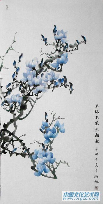 玉兰13