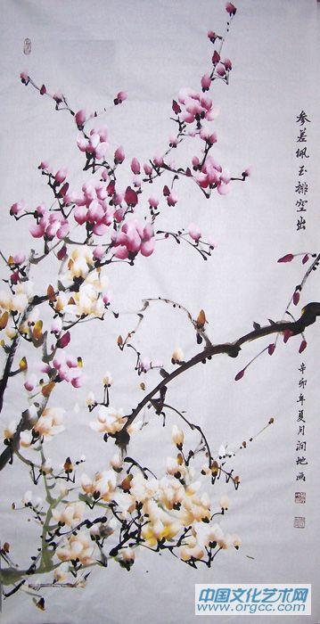 玉兰30.JPG
