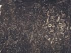 杨兴文作品