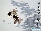 清波鱼乐