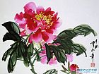 芍药