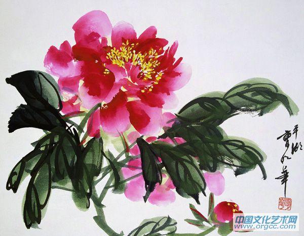 芍药