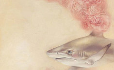 生命的呼唤：旧<b>金山</b>鲨鱼主题展