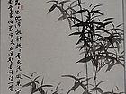 央视《写意人生》——林立中作品