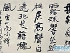 DSC_7696_副本