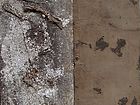 陈剑兵  漆画作品