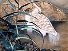 王涌作品4