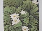国画家康利民花鸟作品《荷风》