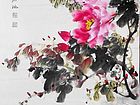 牡丹11