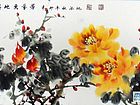 牡丹14