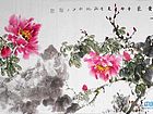 牡丹20