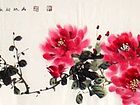牡丹24