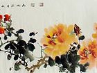 牡丹25