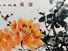 牡丹23
