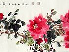 牡丹28