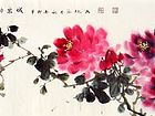 牡丹29