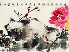 牡丹32