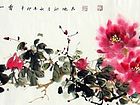 牡丹35