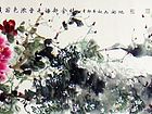 牡丹53