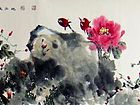 牡丹56