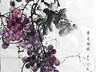 葡萄16