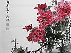 菊花02