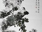菊花06