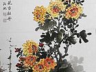 菊花07