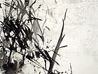 竹02
