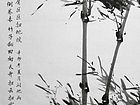 竹05