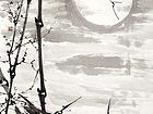 竹10