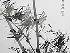 竹12