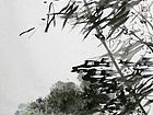 竹18