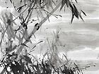 竹20