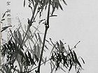 竹22