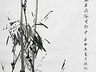 竹23