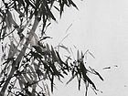 竹25