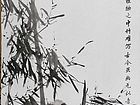 竹26