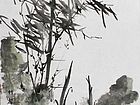 竹27