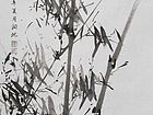 竹30