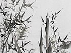 竹31