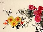 菊花18.JPG